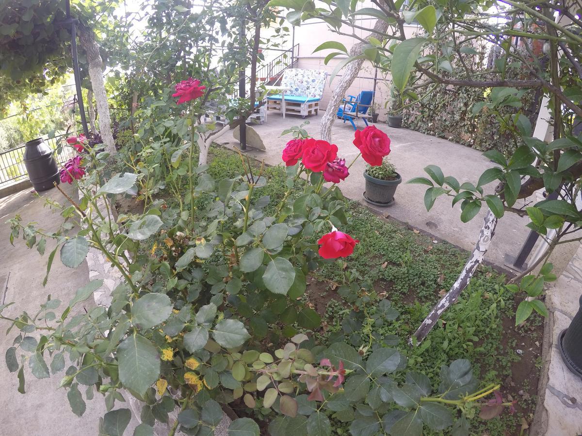 Holiday Home Free Your Mind Dobra Voda Exterior photo